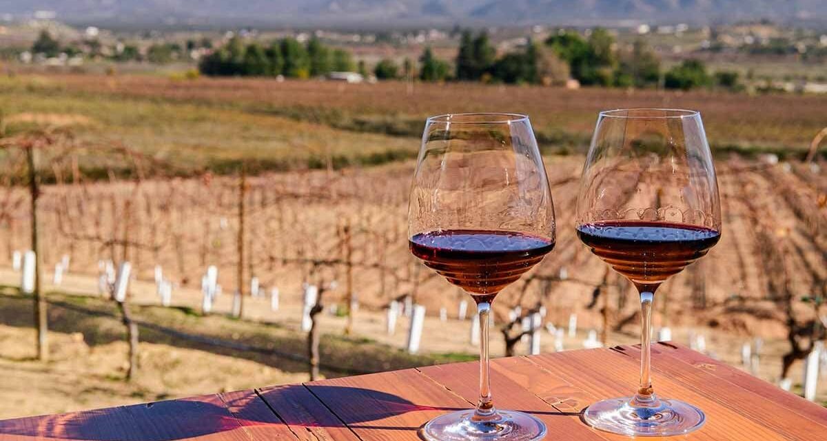 ES EL VALLE DE GUADALUPE UN DESTINO PARA TODOS
