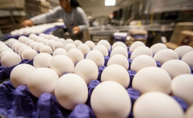 PRONOSTICA CANACOPE TIJUANA QUE EMPEORE LA INESTABILIDAD EN PRECIO DEL HUEVO