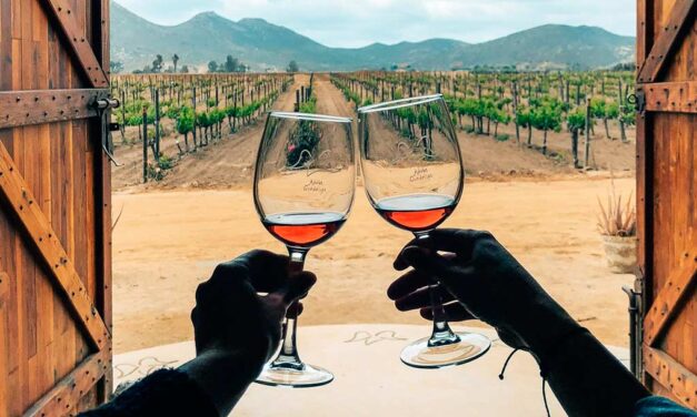 Es Valle de Guadalupe paraíso del vino y la gastronomía