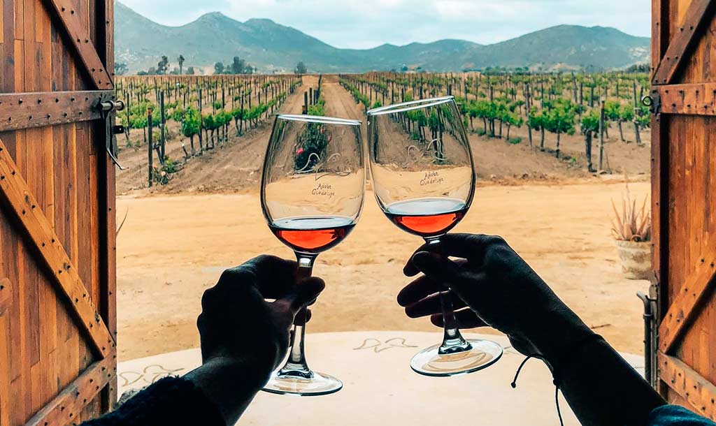 ES EL VALLE DE GUADALUPE EL DESTINO MÁS HOSPITALARIO DE MÉXICO