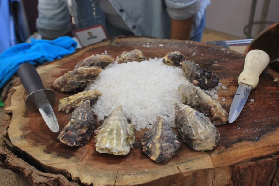 PROMOVERÁ SEPESCA LO MEJOR DE PESCADOS Y MARISCOS DE BC EN AGROBAJA