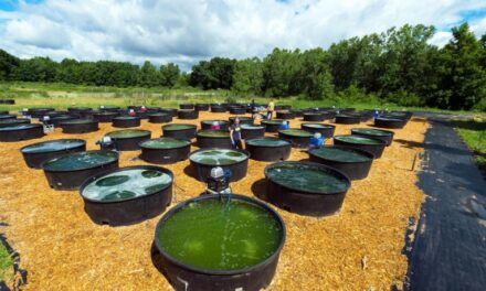 URGE LA PRODUCCIÓN DE COMBUSTIBLES VERDES PARA LA AVIACIÓN