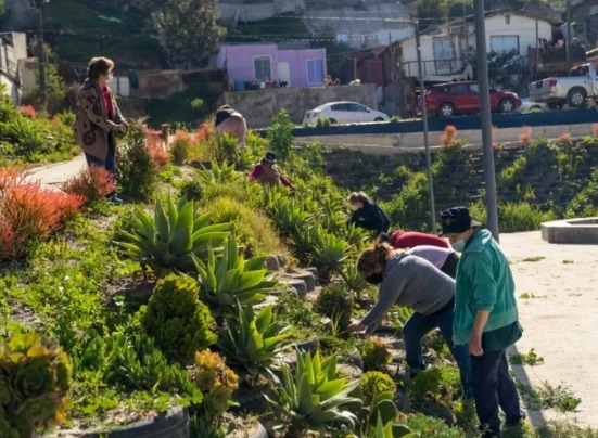 GANÓ PARQUE XICOTÉNCATL DE TIJUANA PREMIO HOLÁNDES A LA INNOVACIÓN CLIMÁTICA