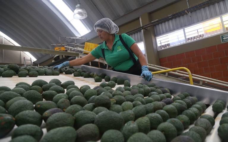 IMPACTA SEMANA SANTA AL EMPLEO: EN ABRIL SE CREARON 24 MIL 11 PLAZAS, SEGÚN EL IMSS