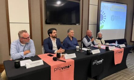 PARTICIPARÁN 84 VINÍCOLAS Y MÁS DE 160 ETIQUETAS EN “VIÑEDOS EN FLOR”