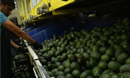 REGISTRÓ MÉXICO RÉCORD EN IMPORTACIONES AGROALIMENTARIAS DESDE EU
