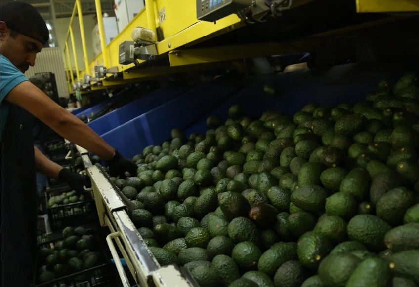REGISTRÓ MÉXICO RÉCORD EN IMPORTACIONES AGROALIMENTARIAS DESDE EU