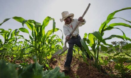 Pagará Zona Costa de BC solo traslado de agua; Estado cubrirá costo del líquido