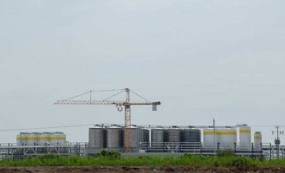 HAY INTERÉS DE UNA EMPRESA POR INSTALARSE EN TERRENO DE CONSTELLATION BRANDS