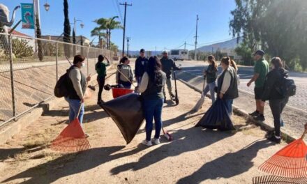 Levantaron 47 toneladas de basura en el Valle de Guadalupe