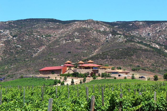 Impulsarán el enoturismo de BC
