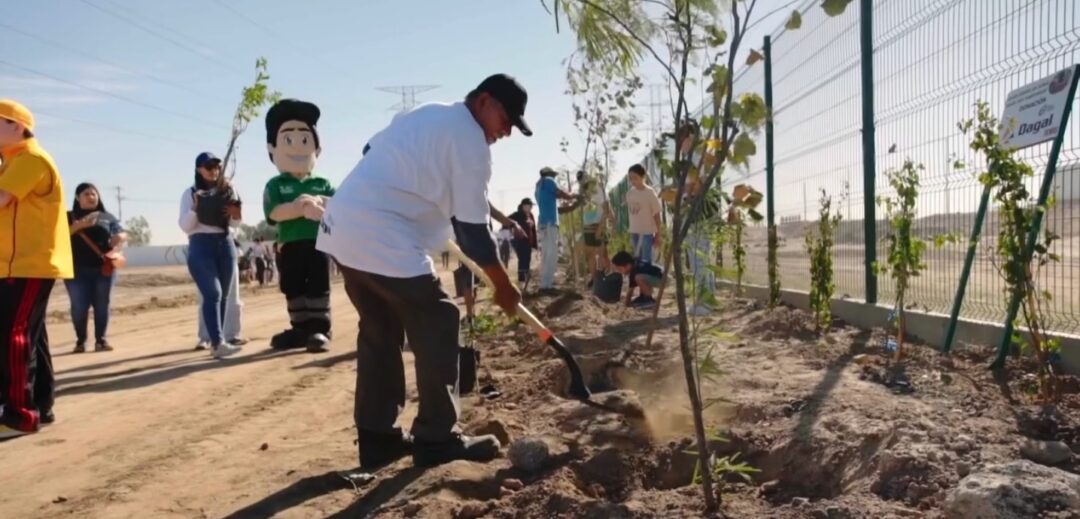 Contemplan añadir amenidades en “Tu parque TSM” para 2024