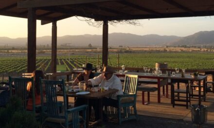 Darán tour operadores impulso al Valle de Guadalupe