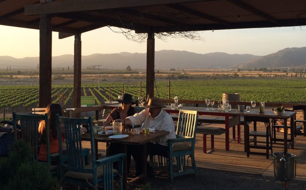 Darán tour operadores impulso al Valle de Guadalupe