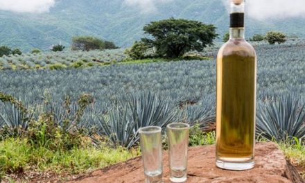 Impulsan tequila, cerveza y ganado las exportaciones agroalimentarias de México