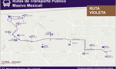 Pasará Transporte Violeta por Plaza La Cachanilla