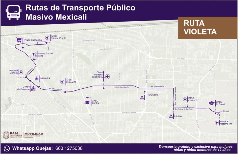 Pasará Transporte Violeta por Plaza La Cachanilla