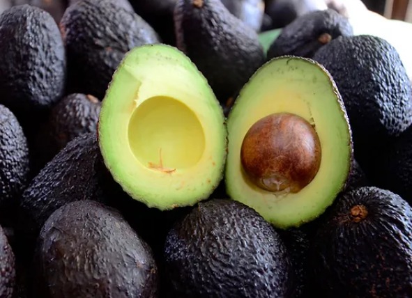Registró exportación de aguacate mexicano en 2023 su peor caída en 13 años