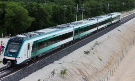 Ha transportado Tren Maya 15 mil 579 pasajeros en fase de preoperación