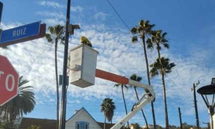 Avanza modernización de la red de alumbrado público de Ensenada