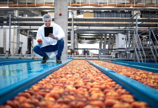 Estima SADER que México produjo 300 millones de toneladas de alimentos