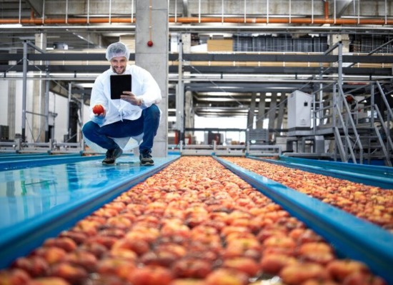 Estima SADER que México produjo 300 millones de toneladas de alimentos