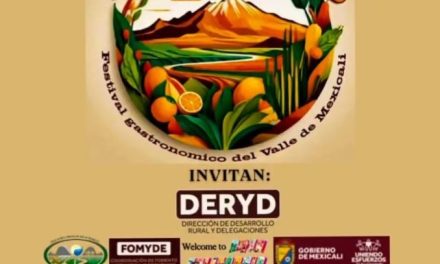 Disfrutarán mexicalenses del primer Valle Fest 2024