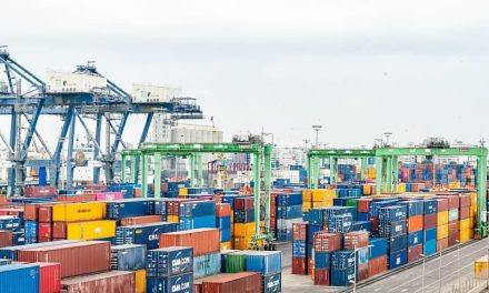 Registró México más de 51 mil mdd en exportaciones agroalimentarias en 2023