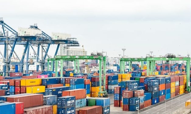 Registró México más de 51 mil mdd en exportaciones agroalimentarias en 2023