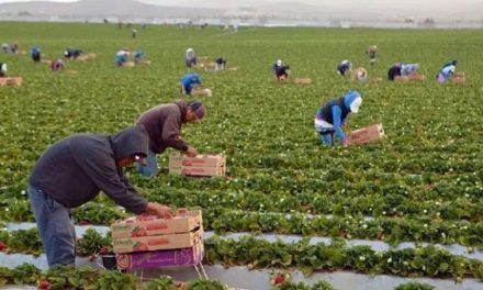 Generó BC 22 mil empleos en 1er bimestre de 2024
