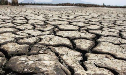Impactará sequía a más de 50% de agricultores y ganaderos