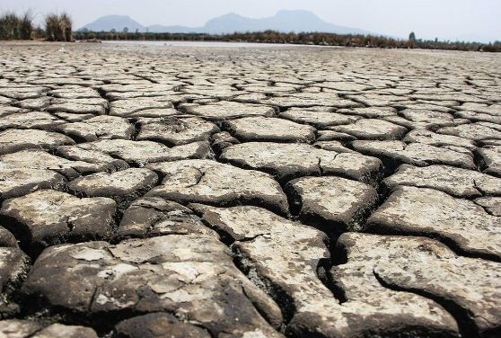 Impactará sequía a más de 50% de agricultores y ganaderos