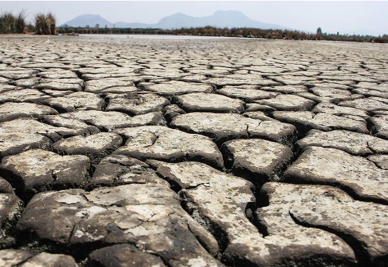 Impactará sequía a más de 50% de agricultores y ganaderos