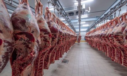 Rechaza México el etiquetado de EU en productos cárnicos