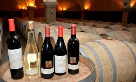Reafirma Bodegas Cetto su compromiso con la sostenibilidad