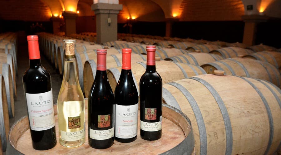 Reafirma Bodegas Cetto su compromiso con la sostenibilidad