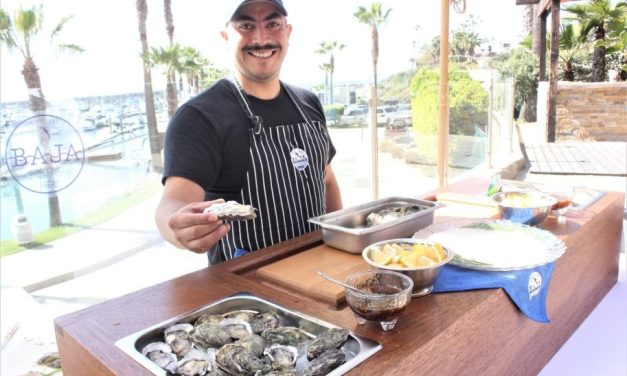 Invitan a la XXIV edición del Festival de las Conchas y el Vino Nuevo