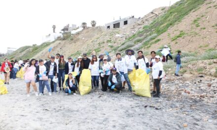 Cumple Brady México como empresa responsable del medio ambiente