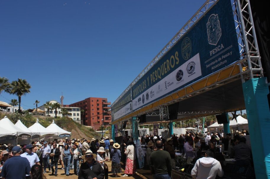 Disfrutaron productos pesqueros y acuícolas en Festival de las Conchas y el Vino