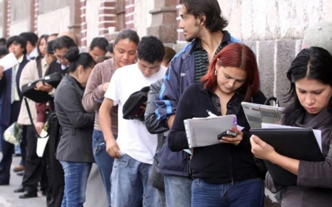 Insta OCDE a México que mejore su esquema de contrataciones públicas