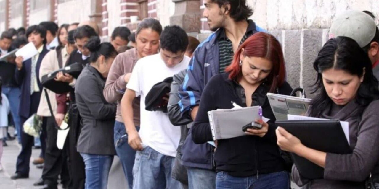 Insta OCDE a México que mejore su esquema de contrataciones públicas
