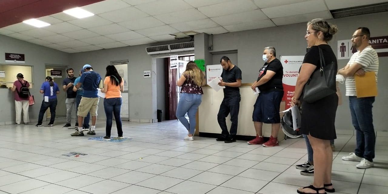 Faltó en BC la mitad de modelos recientes en revalidar tarjeta de circulación