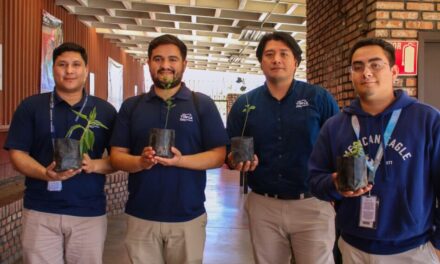Regaló TIMSA arbolitos a sus colaboradores