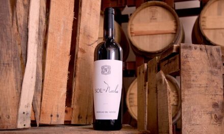 Son Sol de Noche y Gran Ricardo los mejores vinos de 2024
