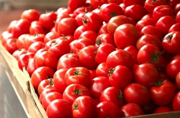 Eliminó EU restricción a importaciónes de tomate mexicano