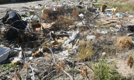 Planean en Mexicali aprovechar lotes baldíos para su desarrollo