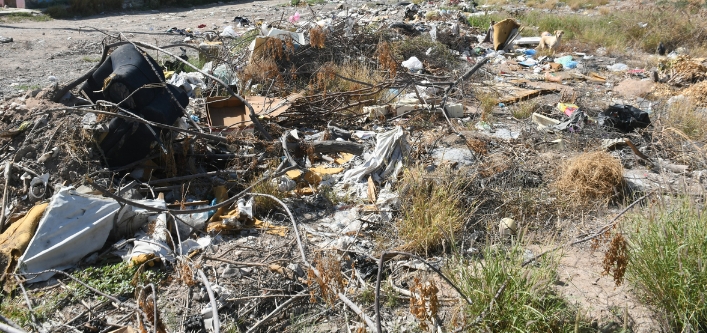 Planean en Mexicali aprovechar lotes baldíos para su desarrollo