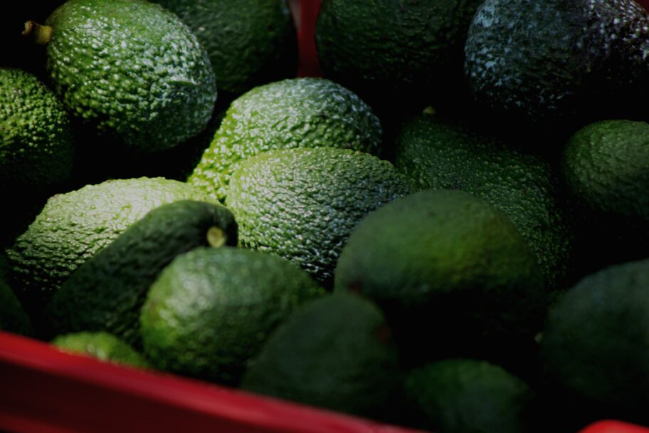 Reactivó EU a inspectores de aguacate en Michoacán