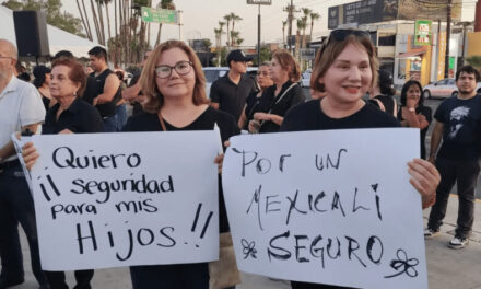Alza la voz IP por mayor seguridad en BC