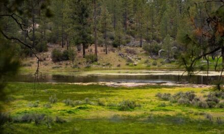 Avanza megaproyecto ecoturístico Colorado Ensenada